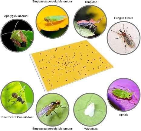 Yellow Sticky Traps for Plants – Double-Sided Pest Control Cards, 20 Pieces