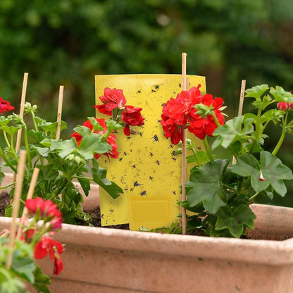 Yellow Sticky Traps for Plants – Double-Sided Pest Control Cards, 20 Pieces